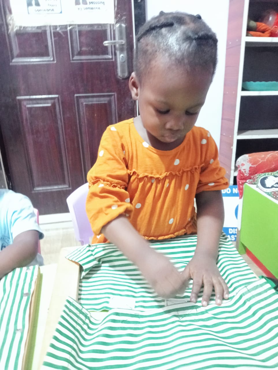 Science Fair Project